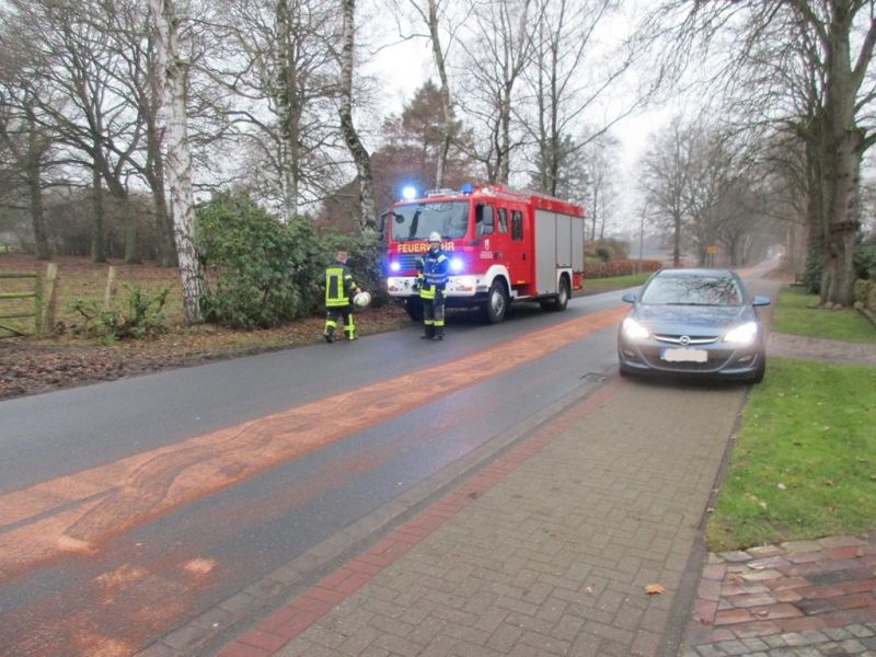 Technische Hilfeleistung - Straßenverunreinigung (THS)